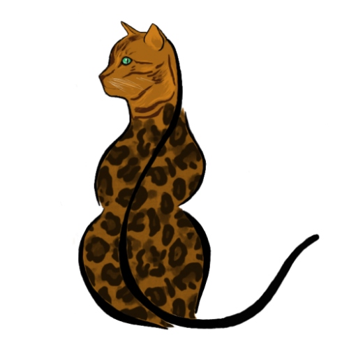 Cropped kattmedsvans transparent.png