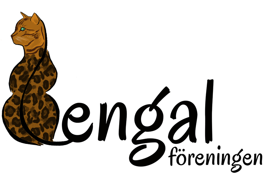 New foreningen