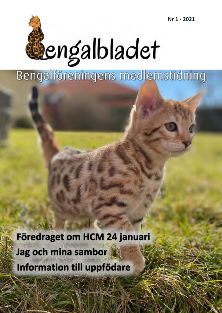 Bgbladet1