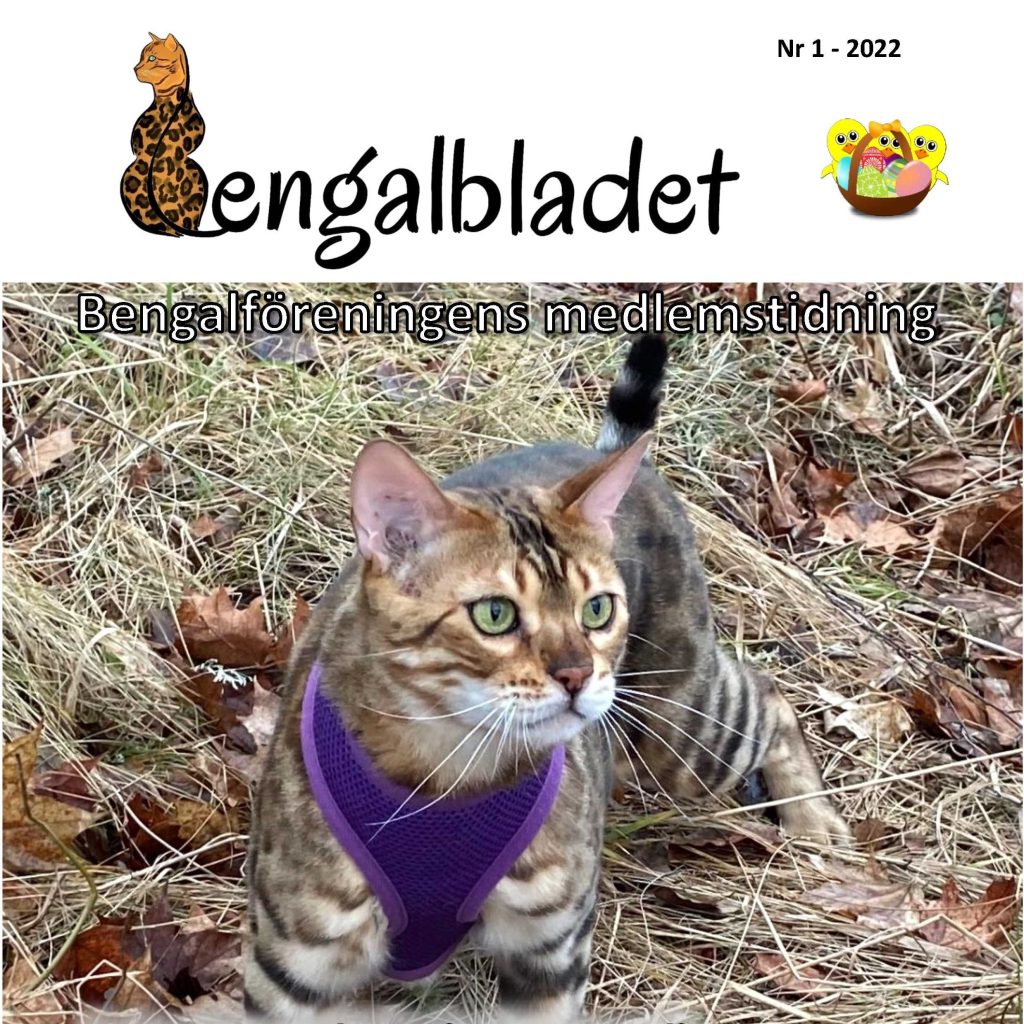 Bengalbladet Sidan 1 (004)