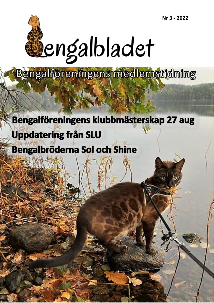 Bengalbladet 2022 3 Sidan 1