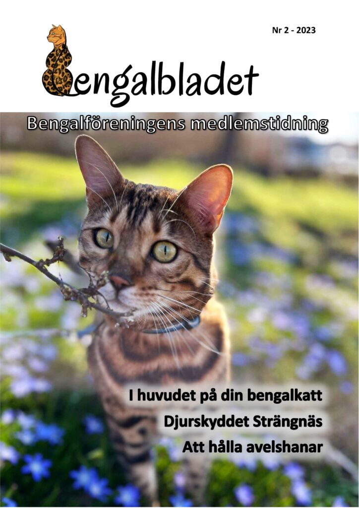 Bengalbladet 2023 2 Extrahera Sidan 1