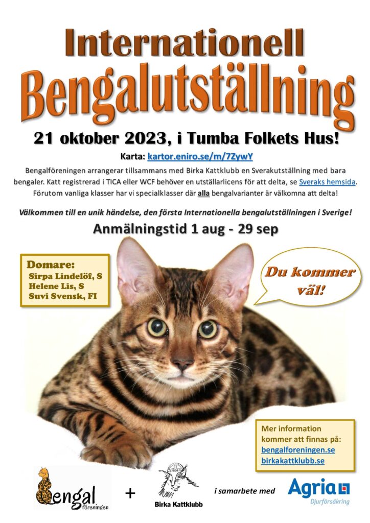 Bengalutställning 2023 10 21 B