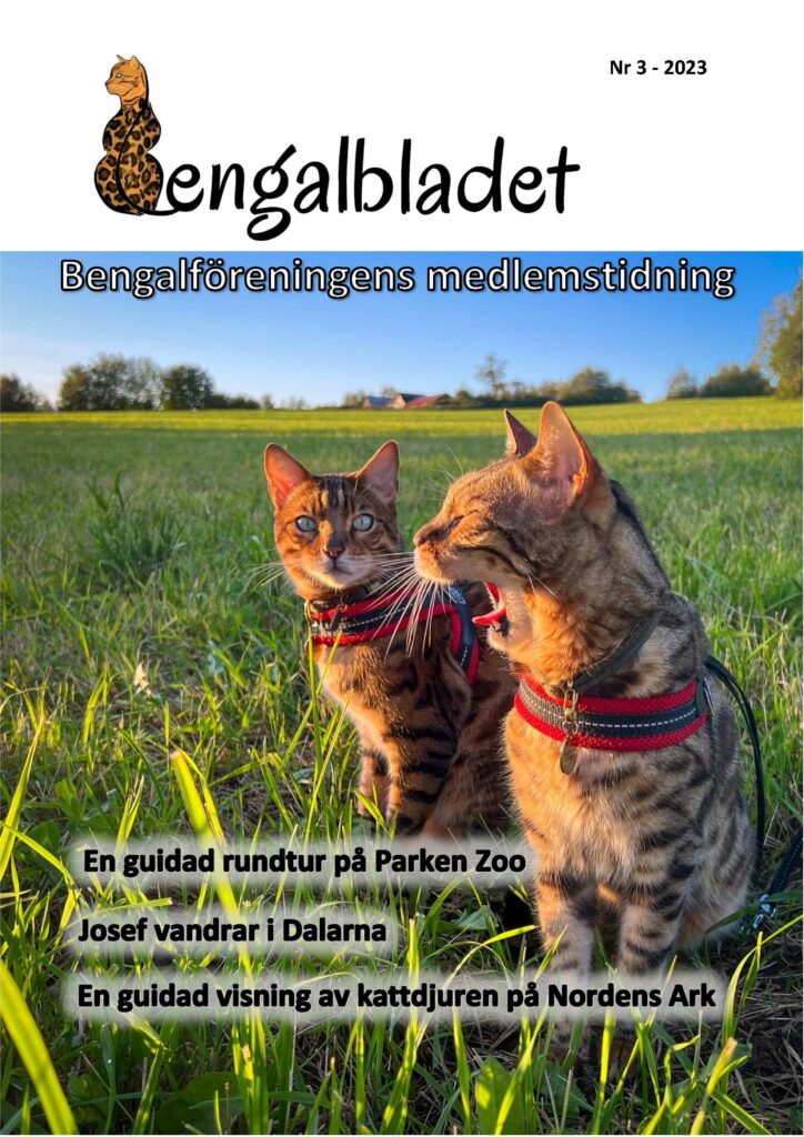 Bengalbladet 2023 3 Version A Första Sidan