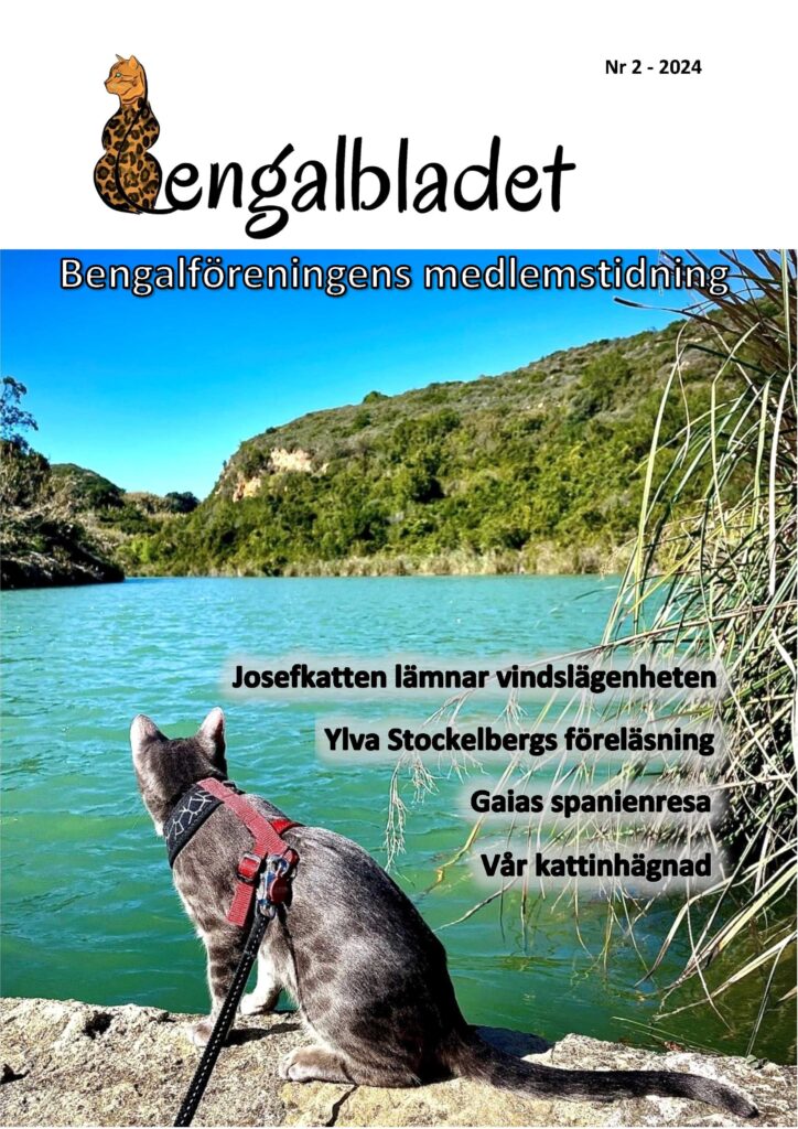 Bengalbladet 2024 2 Version A Sid 1