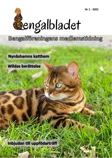 Bengalbladet 2025 1 version a sida 1