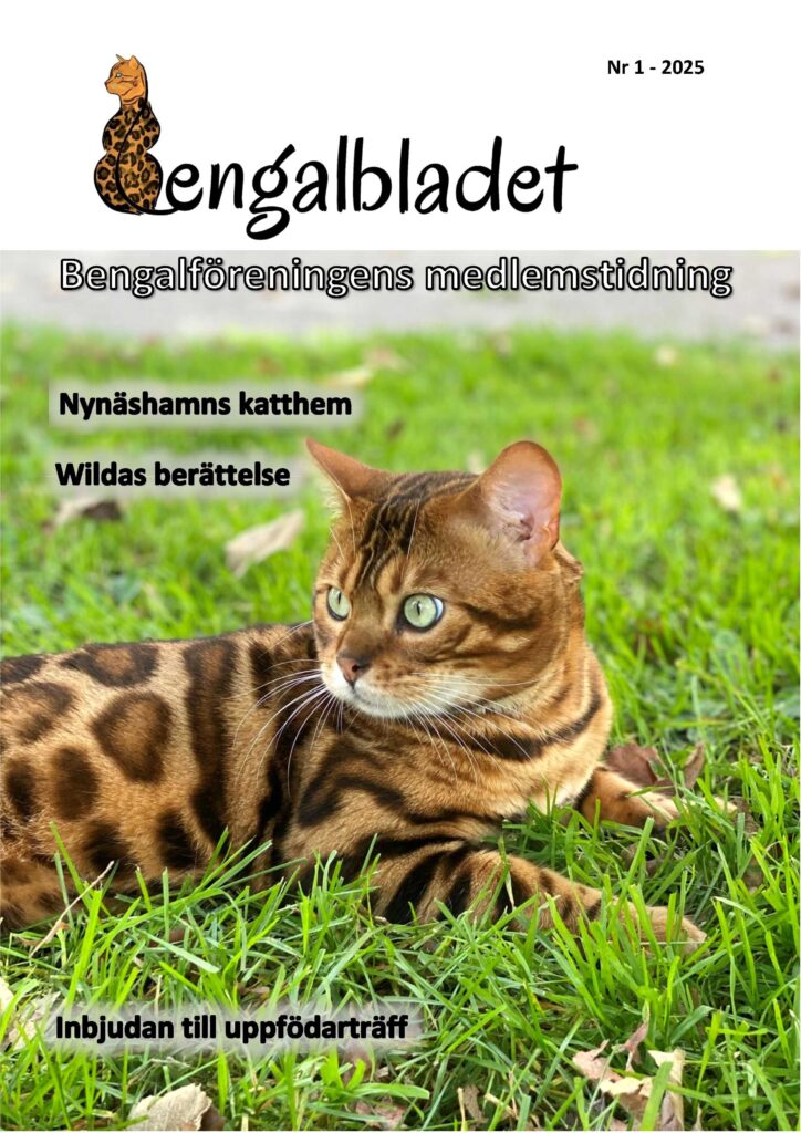 Bengalbladet 2025 1 version a sida 1